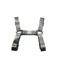 X-CITE LEATHER HARNESS RAINBOW HARDWARE SILVER EMBOSSED LOGO - MEDIUM