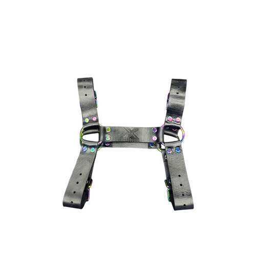 X-CITE LEATHER HARNESS RAINBOW HARDWARE - MEDIUM